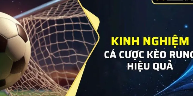 Áp dụng cách xem kèo rung và chiến lược đặt cược an toàn